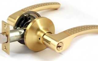 Apecs – азиаты в Раше