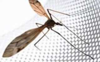 Как сделать москитную сетку на окно своими руками?