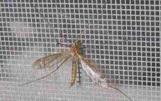 Варианты остекления загородного дома. О чем нужно помнить