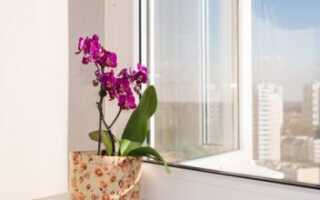 Что представляет собой профиль «Плафен»?