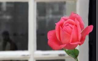 Пластиковый профиль LGC –отзывы потребителей