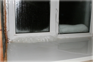 Лучше деревянные или пластиковые окна