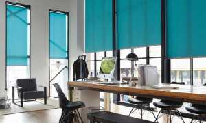 Виды рулонных штор на пластиковые окна