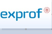 Логотип Exprof