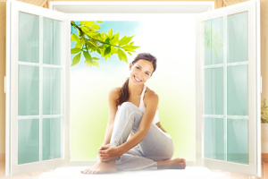 Окна с пластиковым профилем Vitrage