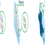 Схема окон со шпросами и фальшами