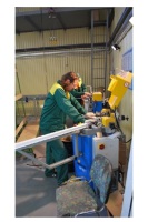 Производство противопожарных окон