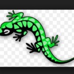 Торговая марка Саламандры