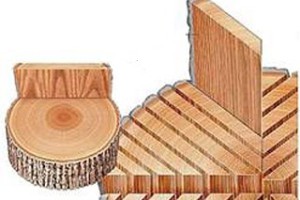 Так распиливают древесину под евробрус