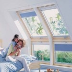 Разновидности чердачных окон