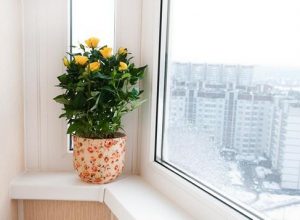 Пластиковые подоконники размеры 